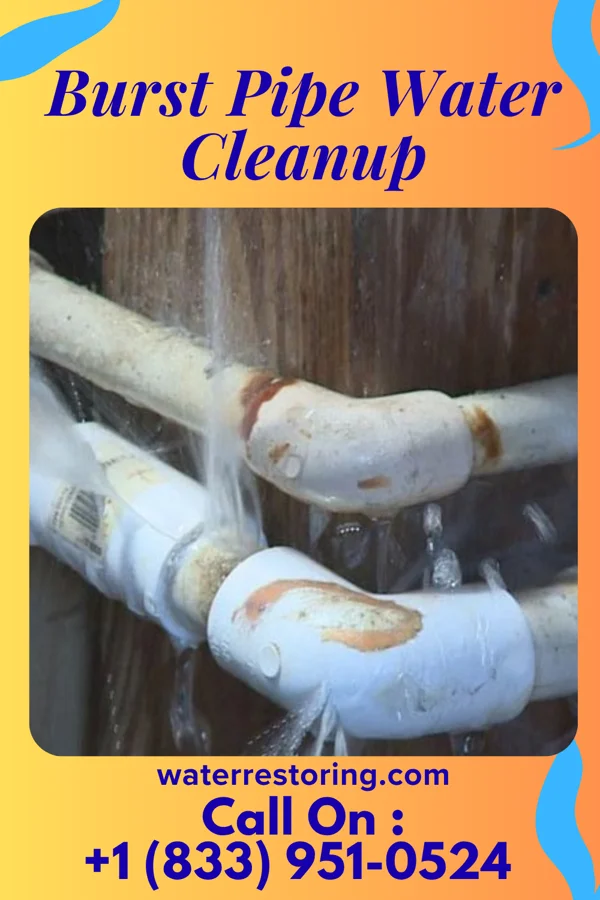 Burst Pipe Water Cleanup in Midway, PA