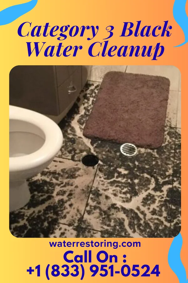 Category 3 Black Water Cleanup in Midway, PA