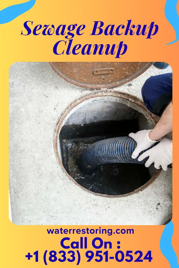 Sewage Backup Cleanup in Midway, PA