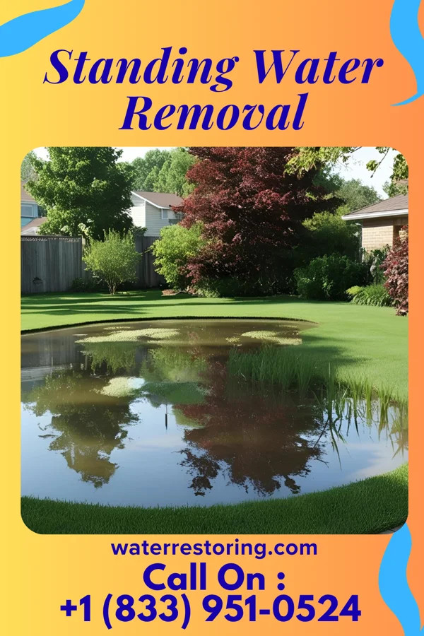 Standing Water Removal in Midway, PA